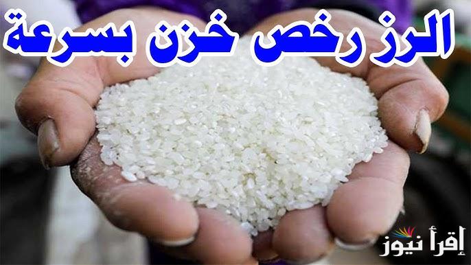 اللي مجنن الفلاحين.. سعر طن الأرز الشعير الان اليوم الخميس 2 يناير 2025 في الاسواق المصرية