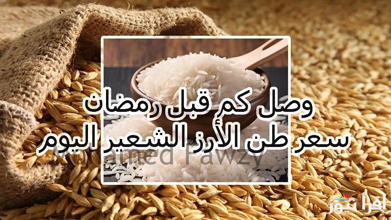 بكام حنشتري “عريض ورفيع الحبة” سعر طن الأرز الشعير اليوم الاحد 26 يناير 2025 في المضارب و الأسواق المصرية