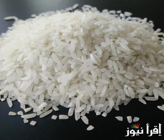 كيلو الرز السايب بكم؟ سعر طن الأرز الشعير اليوم الخميس 23 يناير 2025 وتفاصيل سعره للمستهلك في الأسواق المصرية