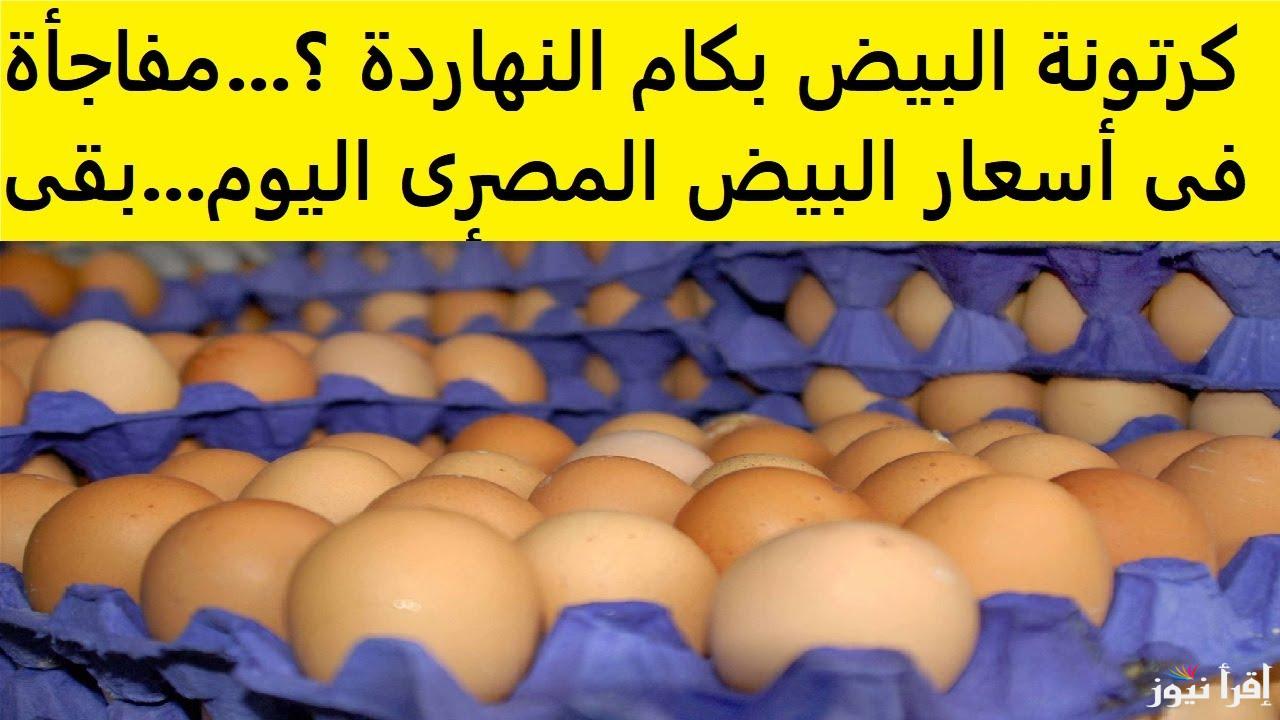 فراخ الأمهات سجلت كام؟ .. سعر كرتونة البيض اليوم الجمعة 10 يناير 2025 في بورصة الدواجن المصرية