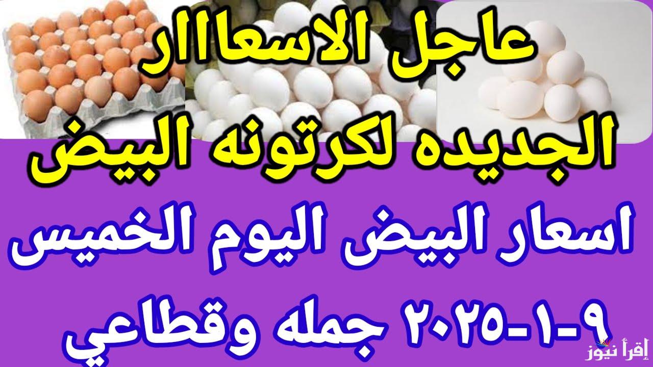 البيضة بـــ 5.5 جنيه… سعر كرتونة البيض اليوم الخميس 9 يناير 2025 واسعار الكتاكيت في بورصة الدواجن