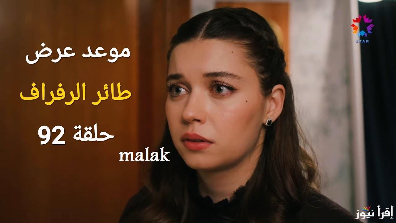 مسلسل طائر الرفراف الحلقة 92 على قصة عشق وقناة ستار تي في التركية