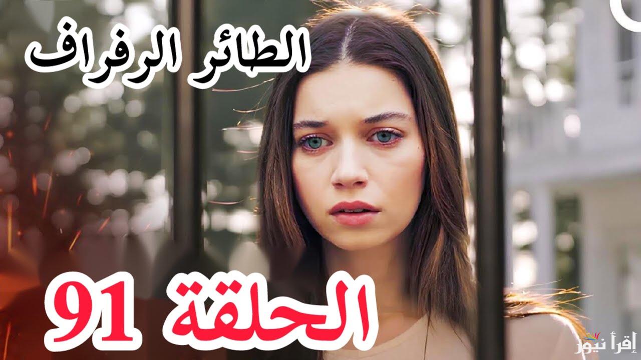 بجودة عالية تابع مسلسل طائر الرفراف الحلقة 92 الموسم الثالث والقنوات الناقلة