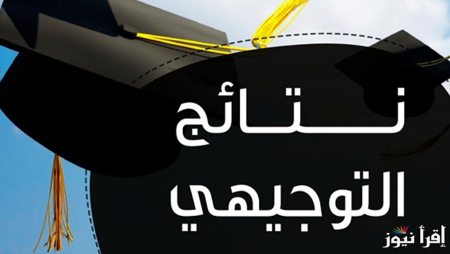 طريقة الاستعلام علي نتائج التوجيهي التكميلي 2025 / 2006 الاردن www.tawjihi.jo فور الإعلان عنها
