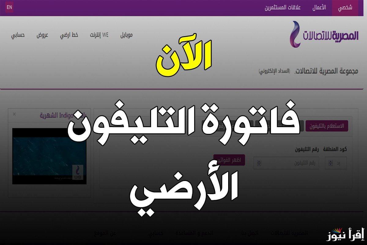 “بكل سهولة” طريقة الاستعلام عن فاتورة التليفون الأرضي لشهر يناير 2025 عبر الموقع الإلكتروني te.eg