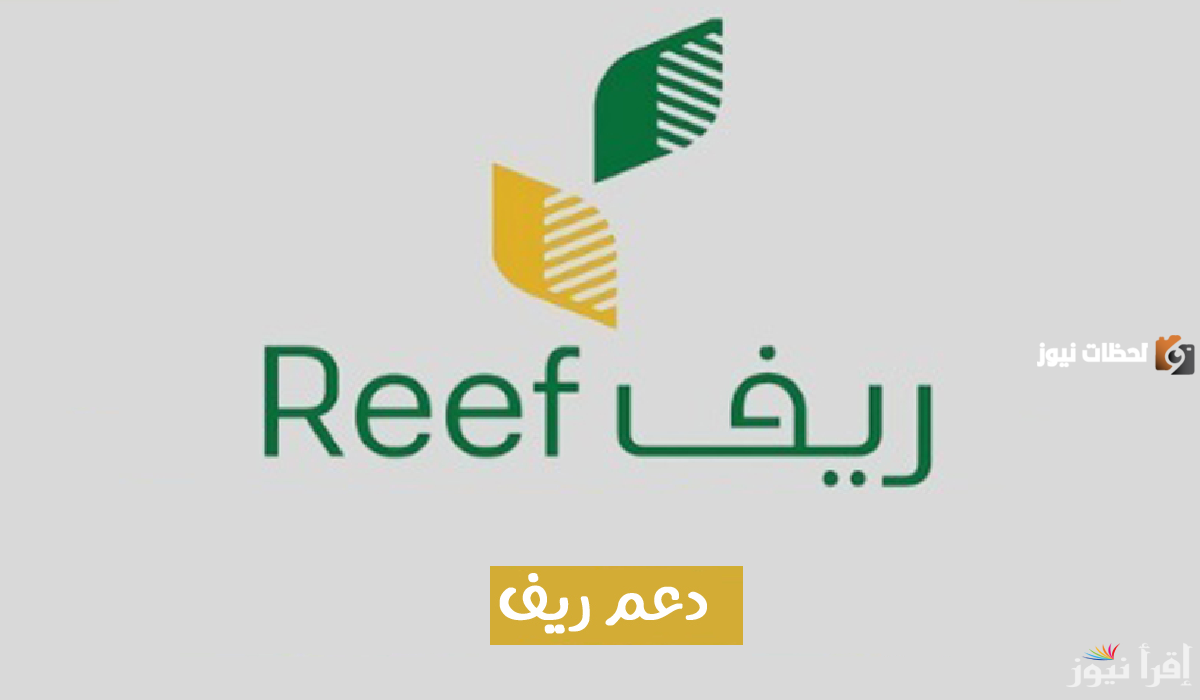 دليلك الكامل لكيفية الاستعلام عن دعم الريف لشهر يناير 2025 من خلال الموقع الرسمي reef.gov.sa وابرز شروط التسجيل من خلال الموقع الرسمي