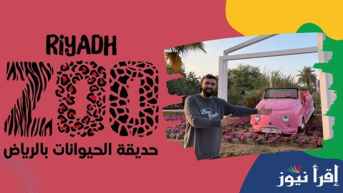 كيفية حجز تذاكر دخول حديقة الحيوان الرياض من خلال منصة تيكت الإلكترونية ticket-window