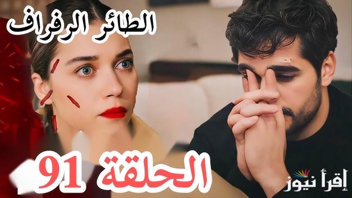 ” اطلاق ناري على فريد وسيران” موعد عــرض مسلسل الطائر الرفراف الحلقة 91 الموسم الثالث والقنوات الناقلة