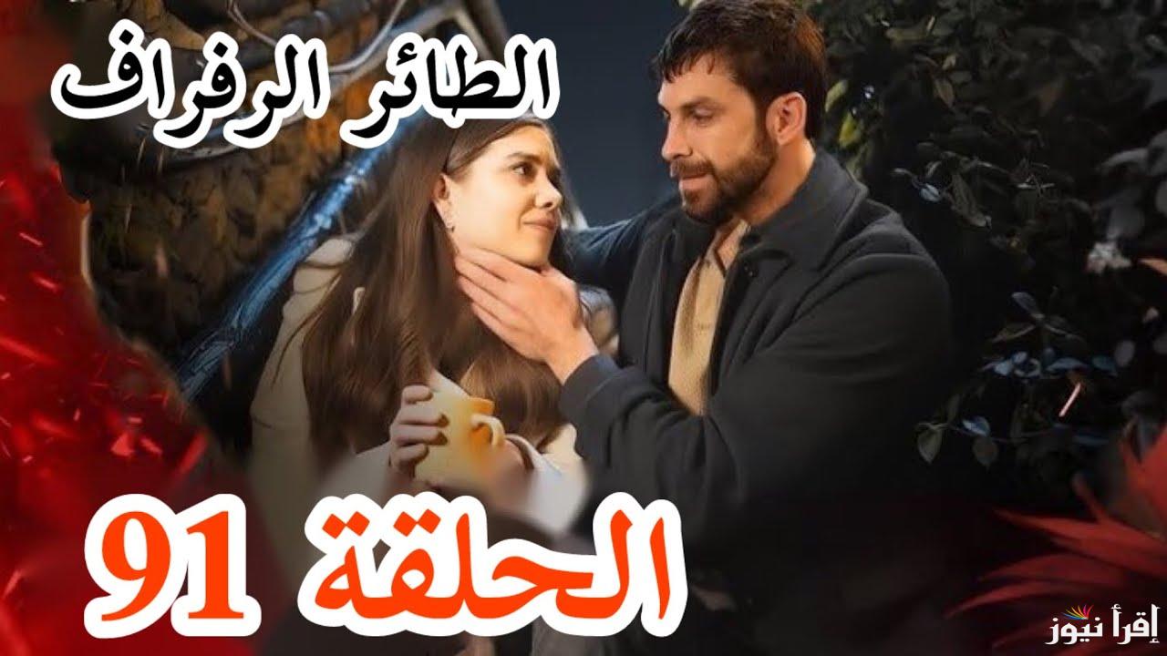 المزيد من الغموض.. مسلسل الطائر الرفراف الحلقة 91 Yalı Çapkını عبر منصة قصة عشق aa.3ick.net