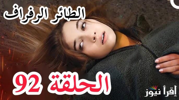 مفاجات جديدة في مسلسل الطائر الرفراف الحلقة 92 الأن قصة عشق .. سـونا تكشـف لسيــران علاقتهـا ب فـريـد