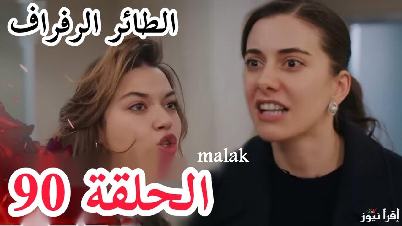 “أنتقام عابدين من عائلة كورهان”مسلسل طائر الرفراف الحلقة 90 على قناة STAR TV وقصة عشق