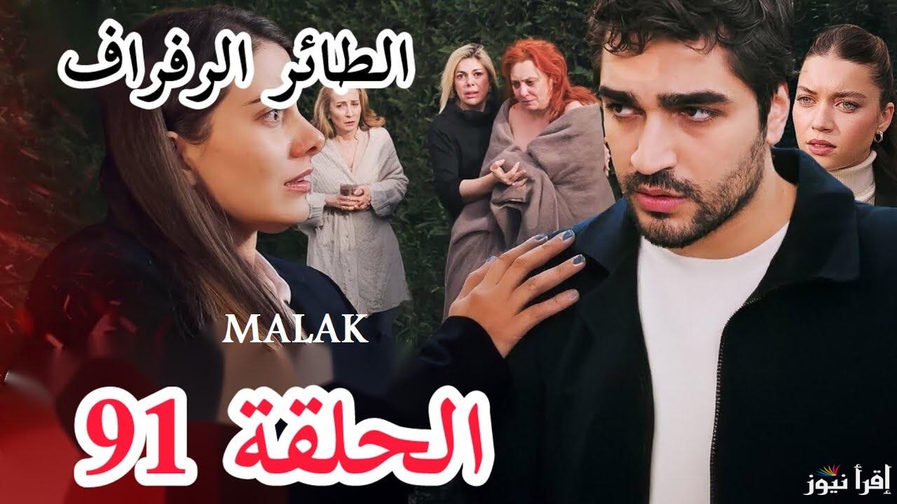 اعلان 2 .. مسلسل طائر الرفراف الحلقة 91 قصة عشق على قناة FOX و ستار تي في التركية