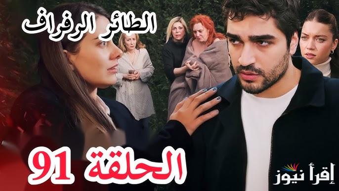 “Yalı Çapkını” مسلسل طائر الرفراف الحلقة 91 قصة عشق وموعد عرضها على القنوات الناقلة لها