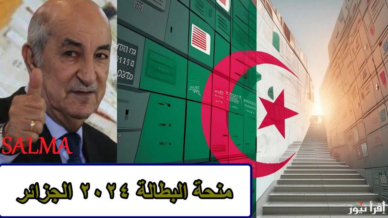 “في خطوتين” رابط تجديد منحة البطالة في الجزائر 2025 وأهم الشروط المطلوبة