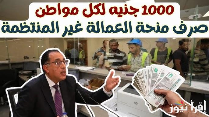 صرف منحة العمالة الغير منتظمة .. وزارة القوي العاملة تعلن زيادة منحة العمالة غير المنتظمة إلى 1000 جنيه 2025