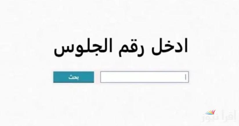 “لينك نتيجتك بالاسم ورقم الجلوس” رابط موقع بوابة التعليم الأساسي للنتائج 2025 عبر eduserv.cairo.gov.eg لجميع المراحل بالمحافظات