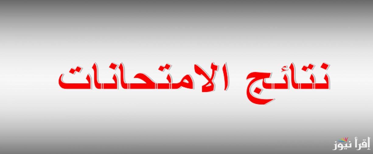1و2 اعدادي.. نتيجة الصف الأول والثاني الاعدادي 2025 الفصل الدراسي الأول بالاسم ورقم الجلوس