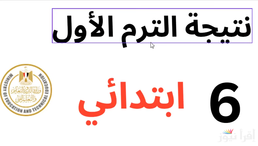 سته ابتدائي.. الاستعلام عن نتيجة 6 ابتدائي 2025 عبر بوابة التعليم الأساسي moe.gov.eg