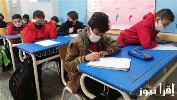 3 ابتدائي.. الاستعلام عن نتيجة الصف الثالث الابتدائي برقم الجلوس 2025 عبر موقع وزارة التربية والتعليم