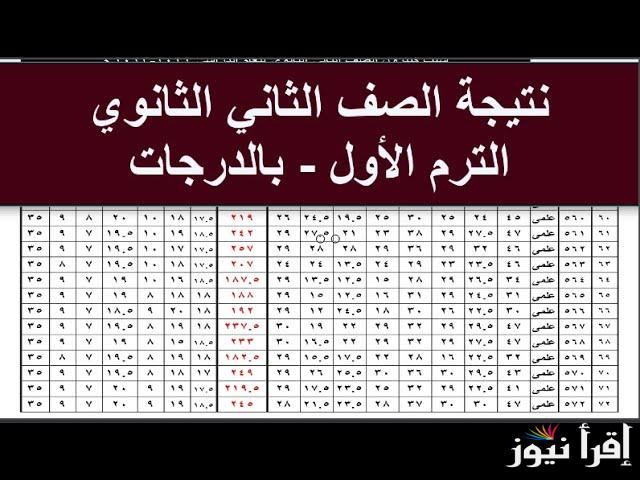 تانية ثانوي.. نتيجة الصف الثاني الثانوي الترم الأول 2025 برقم الجلوس والاسم من خلال موقع وزارة التربية والتعليم