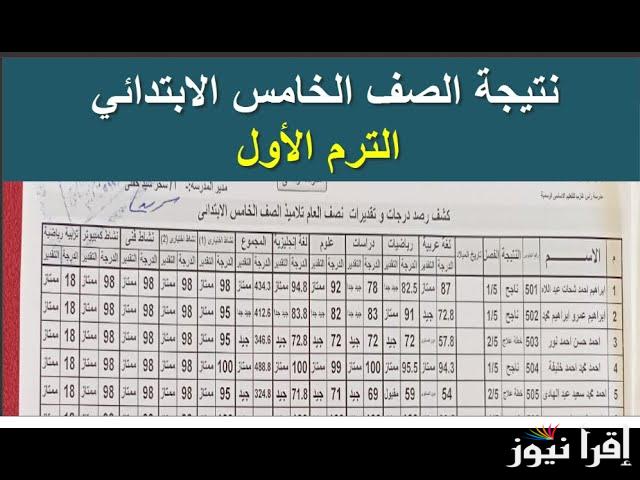 بالاسم ورقم الجلوس .. نتيجة الصف الخامس الابتدائي 2025 خامسة ابتدائي لجميع المحافظات في مصر