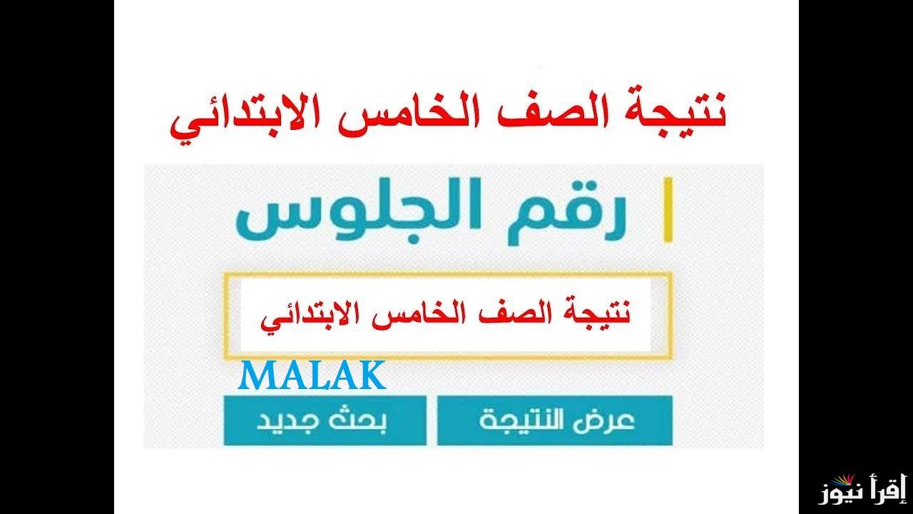 “برقم الجلوس” نتيجة الصف الخامس الابتدائي الترم الأول 2025 محافظة القاهرة عبر بوابة نتائج التعليم الأساسي