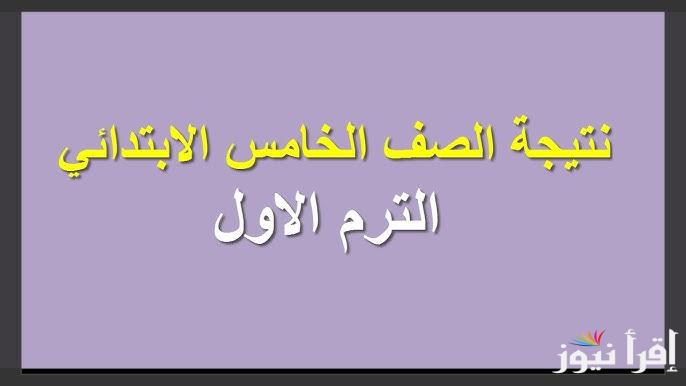 خامسة ابتدائي .. نتيجة الصف الخامس الابتدائي الترم الاول 2025 بالاسم ورقم الجلوس عبر بوابة التعليم الاساسي