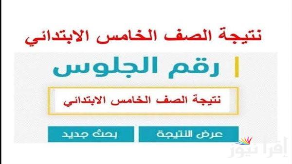 خامسة ابتدائي.. نتيجة الصف الخامس الابتدائي برقم الجلوس عبر الموقع eduserv.cairo.gov.eg