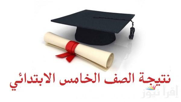 أيقونة.. نتيجة الصف الخامس الابتدائي برقم الجلوس 2025 رابط eduserv.cairo.gov.eg بوابة التعليم الأساسي