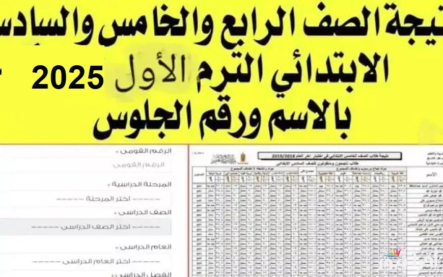 لينك eduserv.cairo.gov.eg الحصول علي نتيجة الصف الرابع والخامس والسادس الابتدائي 2025 برقم الجلوس الترم الأول