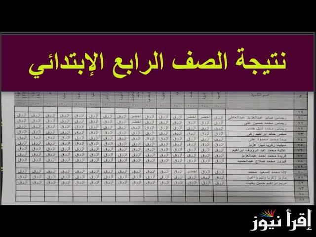 برقم الجلوس والأسم .. نتيجة الصف الرابع والخامس والسادس الابتدائي 2025 eduserv.cairo.gov.eg عبر بوابة نتائج التعليم الأساسي