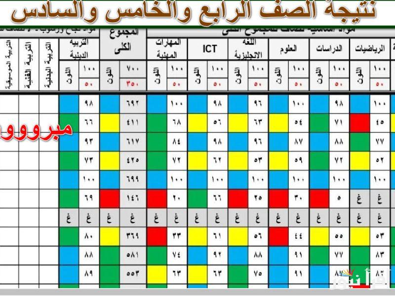 الأن natigatk بالاسم .. نتيجة الصف الرابع والخامس والسادس الابتدائي 2025 عبر موقع بوابة التعليم الأساسي eduserv.cairo.gov.eg فور ظهورها