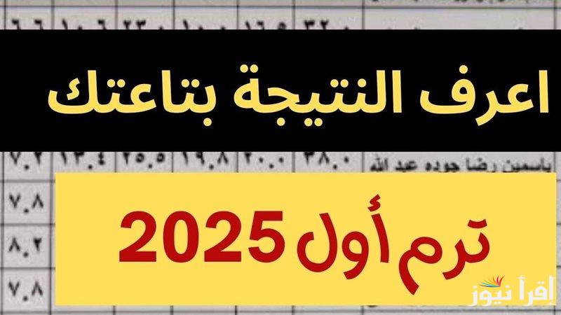 رسميـــا.. نتيجة الصف الرابع والخامس والسادس الابتدائي 2025 بالاسم ورقم الجلوس عبر موقع وزارة التربية والتعليم