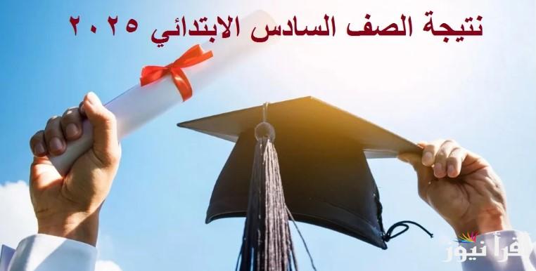سته ابتدائي.. نتيجة الصف السادس الابتدائي برقم الجلوس 2025 عبر رابط eduserv.cairo.gov.eg وتوزيع درجات المواد