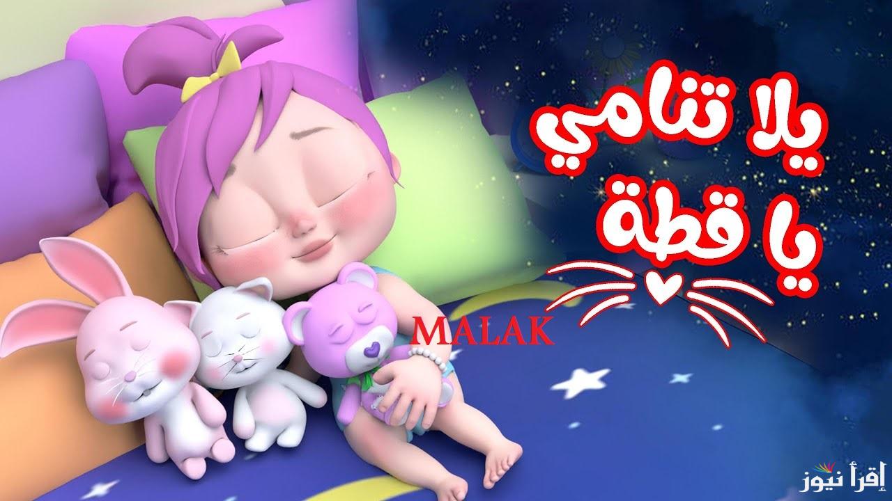 تردد وناسة بيبي الجديد 2025 اقوي إشارة على نايل سات وعرب سات
