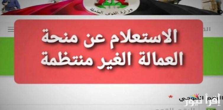 “1000 جنية قبل رمضان” الاستعلام عن منحة العمالة الغير منتظمة 2025 عبر الموقع الإلكتروني الرسمي manpower.gov.eg