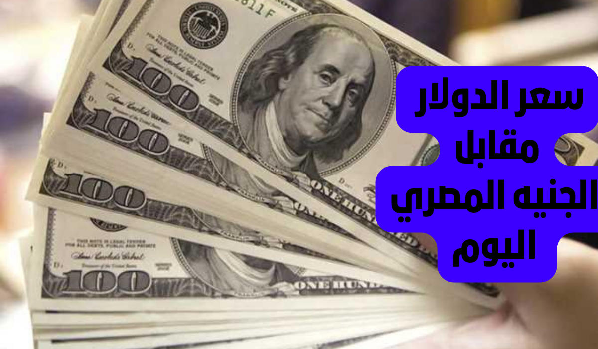 الأخضر بكام.. سعر الدولار في مصر اليوم الأربعاء 19 فبراير 2025 بالبنوك الرسمية