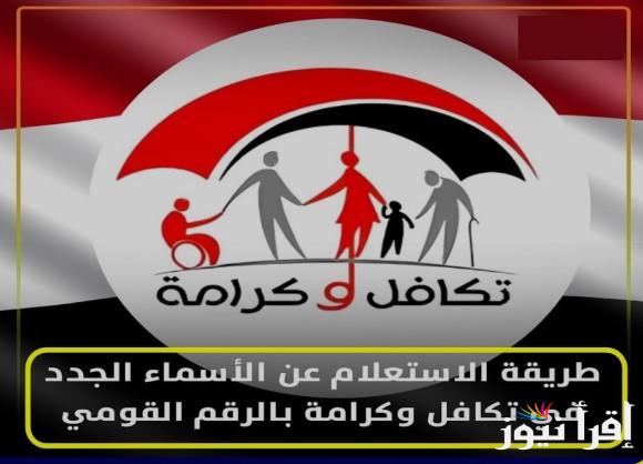 “مصر بلا عوز” الاستعلام عن الأسماء الجدد في تكافل وكرامة 2025 عبر الموقع الرسمي moss.gov.eg
