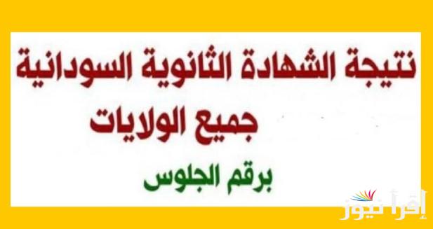 “متاح الان” رابط استخراج نتيجة الشهادة السودانية 2025 بالاسم ورقم الجلوس عبر الموقع الرسمي mohe.gov.sd