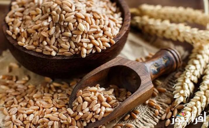 “اشترى قبل زيادة رمضان” سعر طن الأرز الشعير اليوم الأربعاء 12 فبراير 2025 والابيض داخل جميع الاسواق