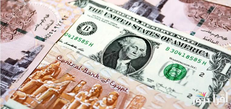 “الأمريكي راحت علية” سعر الدولار في السوق السوداء اليوم السبت 1 فبراير 2025 مقابل الجنية المصري