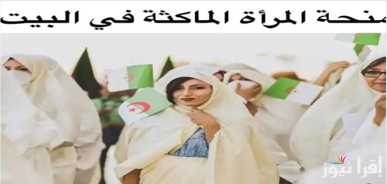 “رابط متاح” منحة المرأة الماكثة في البيت 2025 وطريقة التقديم عبر الموقع الرسمي anem.dz وأهم الشروط