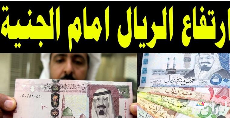 “حج مبرور وذنب مغفور” سعر الريال السعودي اليوم في السوق السوداء الخميس 27 فبراير 2025 مقابل الجنية المصري