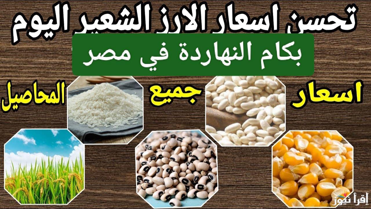 الأسعار مجنونة.. سعر طن الارز الشعير اليوم في مصر 2025