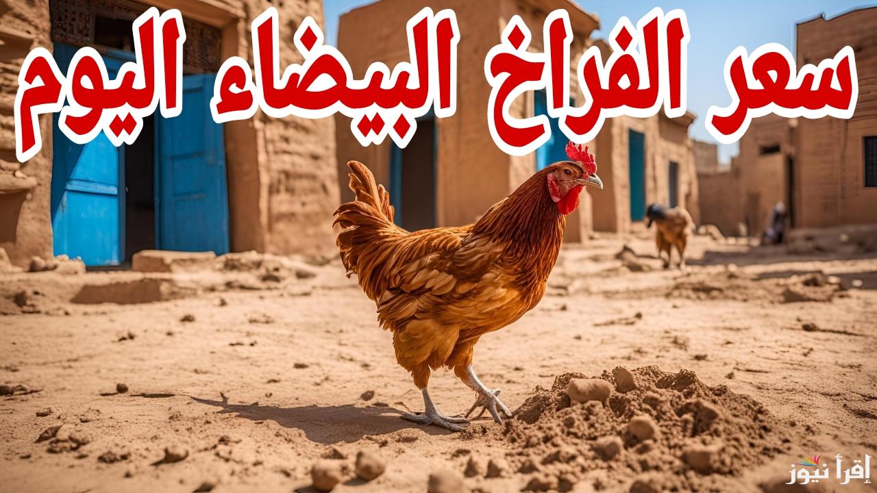 مفاجأة الأسعار.. أسعار الفراخ البيضاء اليوم الثلاثاء 25 فبراير 2025 في المزارع والمحلات التجارية