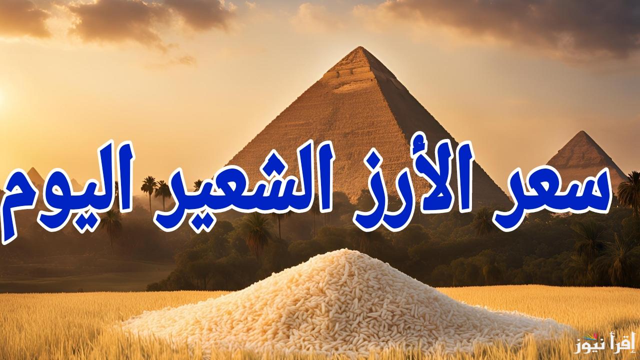 سعر طن الأرز الشعير اليوم الاربعاء 19 فبراير 2025 في مصر