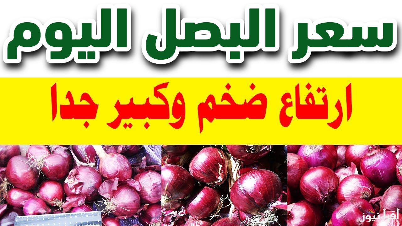 الحقي اشتري وخزني لرمضان.. سعر البصل اليوم الخميس 13 فبراير 2025 في الأسواق المصرية