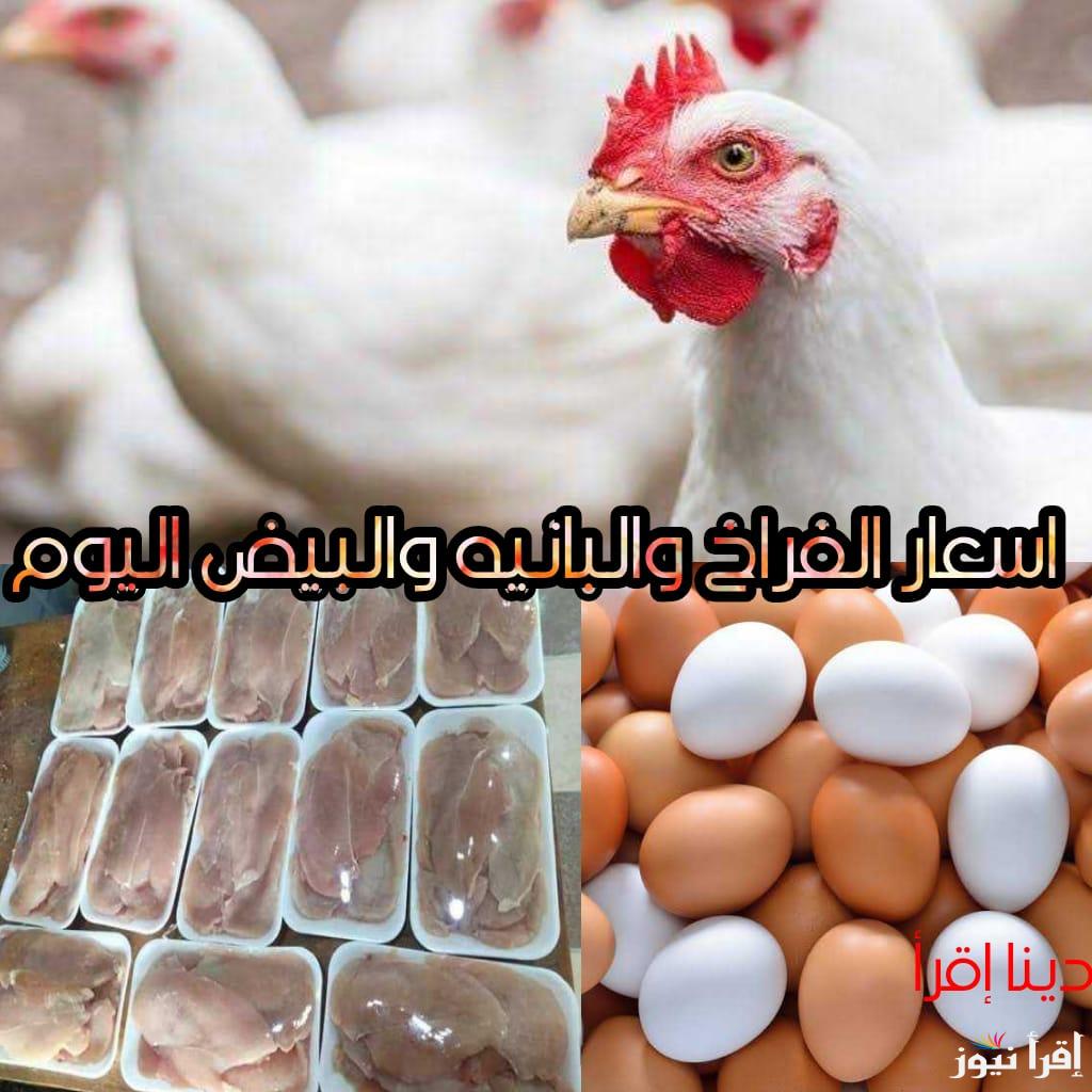 املي تلاجتك قبل رمضان.. اسعار الفراخ والبانية والبيض اليوم الاحد 24 فبراير في مصر