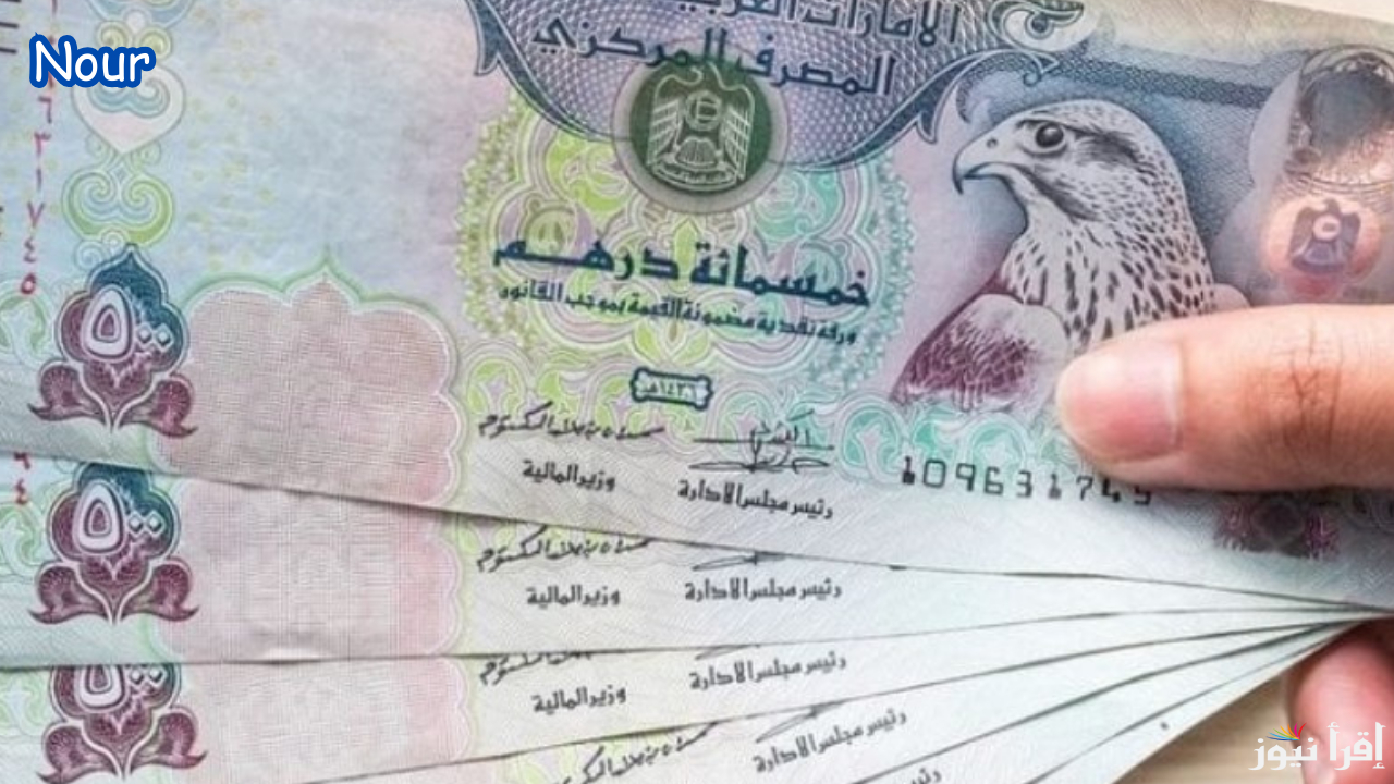 سعر الدرهم الإماراتي مقابل الجنيه المصري في جميع البنوك اليوم 11 فبراير 2025