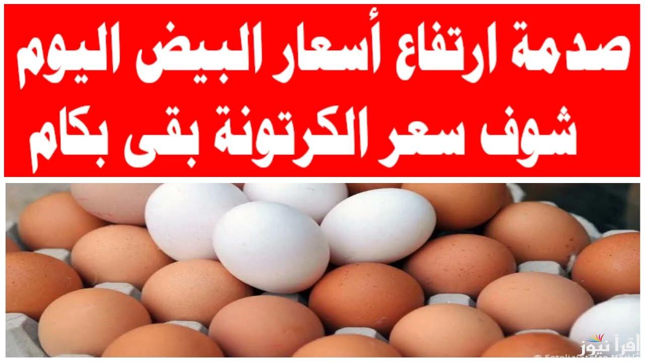 هيسند صيامك.. سعر طبق البيض اليوم في مصر 2025 بجميع انواعه